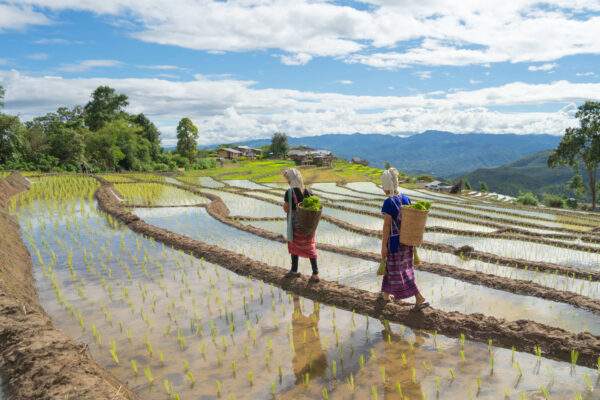 Abenteuer Thailand: Von Bergvölkern zum Inselhopping