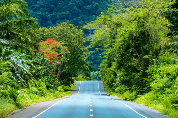 Costa Rica & Panama- Jungle Roads zu Carribean Coasts (Quelle: journaway)